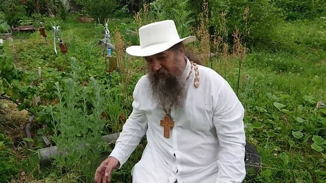 Полынь - время сбора смотреть онлайн
