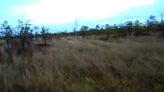 Вездеход ГРОЗА по мху смотреть онлайн