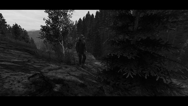 The Hunter | DayZ Standalone | short film смотреть онлайн