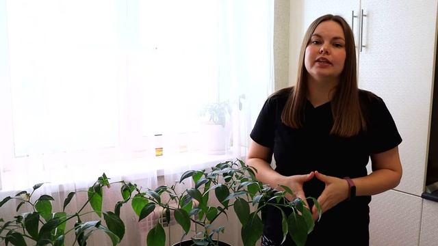 КАК ЭТО МОЖНО ЕСТЬ?!! Острые перцы Халапеньо в домашних условиях смотреть онлайн