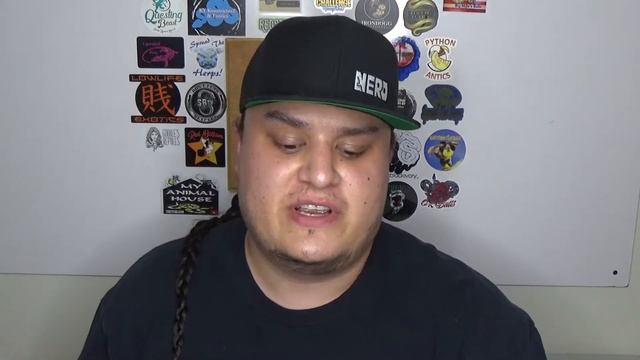 Blood Python Bite смотреть онлайн