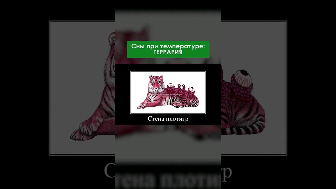 Сражаюсь с ними во сне  #shorts #terraria #террария