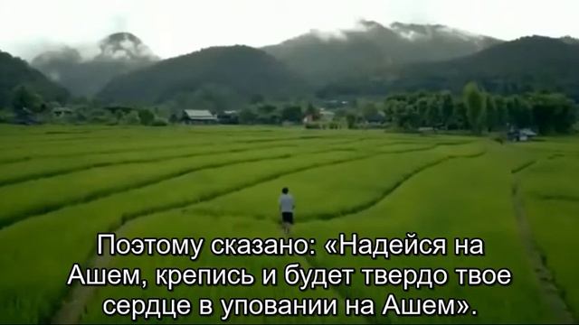 Рав Йошияу Пинто – Благословение Ашема делает человека богатым смотреть онлайн