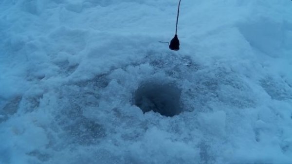 Fishcam plus 750/750+DVR - Обзор камеры для рыбалки | Box56.ru