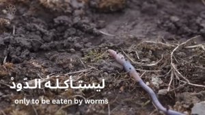 Ama nada bikal Maut ; Arabic Naseed (poem) @ by Mishary Rashid Alfasy (Aya man yadaei al-fahum)