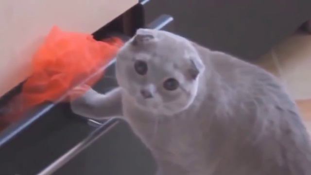 НЕПРИЯТНЫЕ МОМЕНТЫ, ЗНАКОМЫЕ КАЖДОМУ