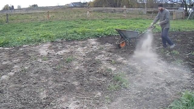 Новый козел - производитель, зола на огород, прикорм грудного ребенка. смотреть онлайн