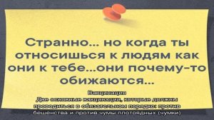 Сколько лет живут домашние и дикие хорьки