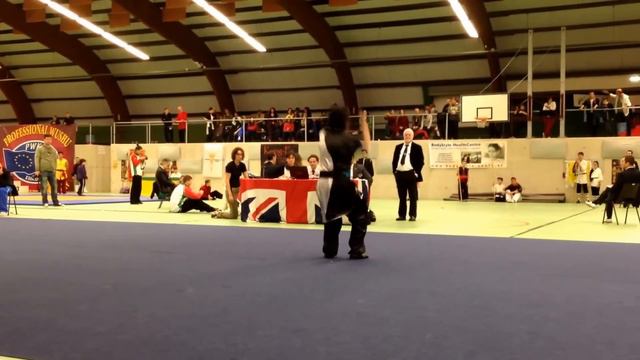 Alessandro Lenzini Fight in Venlo 2014 смотреть онлайн