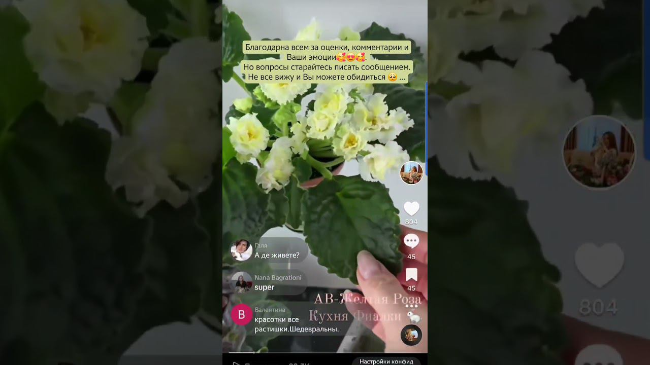 Благодарна Вам за Ваши эмоции, сердечки и комментарии. смотреть онлайн