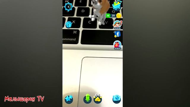 МИЛАЯ СОБАЧКА как живая СБЕЖАЛА из мультфильма смотреть онлайн