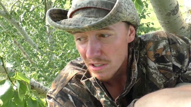 Сорокопут Чернолобый 160610 3 20160623 Panasonic770 у гнезда птенцы 5 Я говорю в кадре так, прошл смотреть онлайн