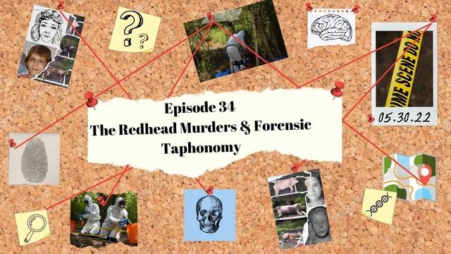 Ep. 34 - The Redhead Murders & Forensic Taphonomy | WTF смотреть онлайн