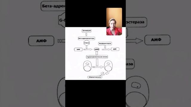 Утро с Зоей Б. Что же на самом деле сжигает жир ? Мифы и реальность и мотивация смотреть онлайн