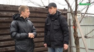 Когда лучше обрезать деревья? Осенью или весной?