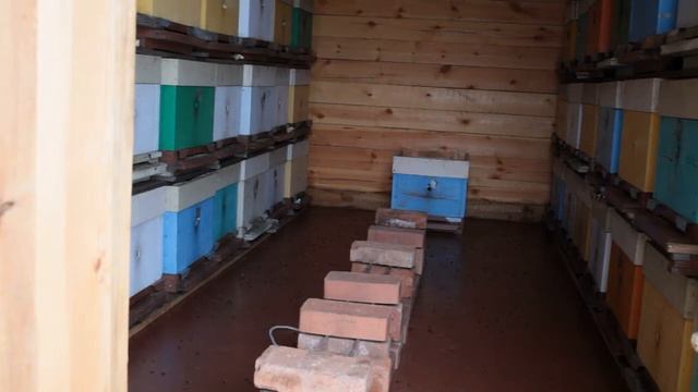 где и как зимуют пчелы. смотреть онлайн