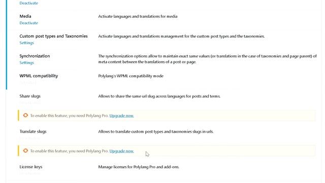 ? Cómo Hacer una Página Web MULTILENGUAJE con WordPress, Polylang y Elementor ? смотреть онлайн