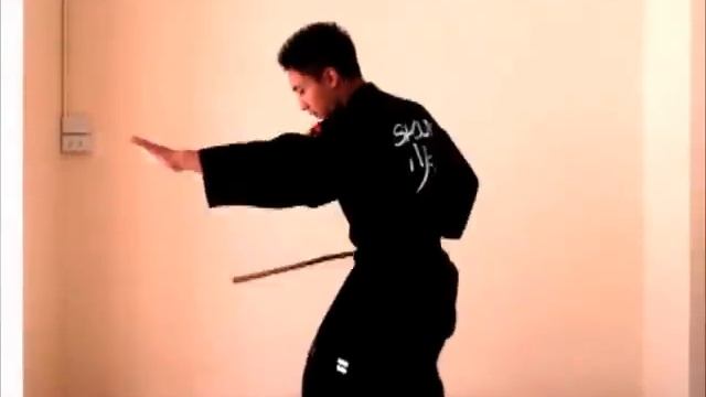 Stick Fighting 1.0 - 8 Angles of Attack смотреть онлайн