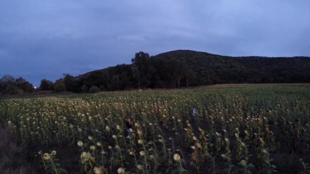 Болгария 2015 смотреть онлайн