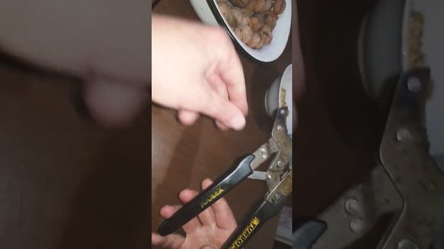 Самый лучший орехокол. Для грецких орехов и не только. смотреть онлайн