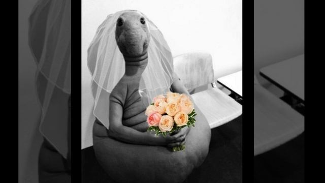 Серия 2. А ждать ли принца? смотреть онлайн