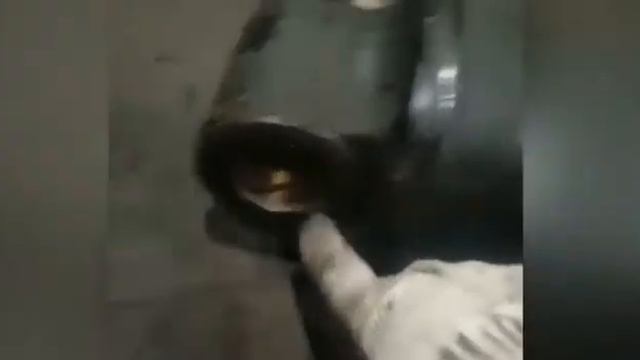 Процесс дефектовки КМУ Dong Yang 1506 смотреть онлайн
