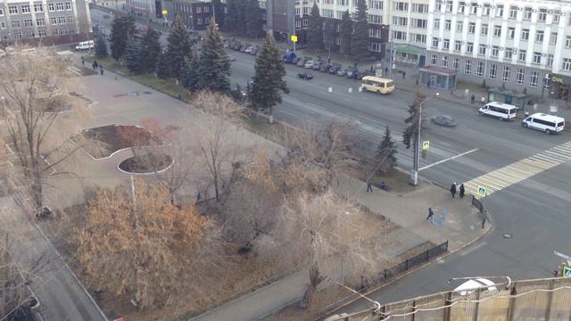 агрессивные собаки в центре Челябинска смотреть онлайн