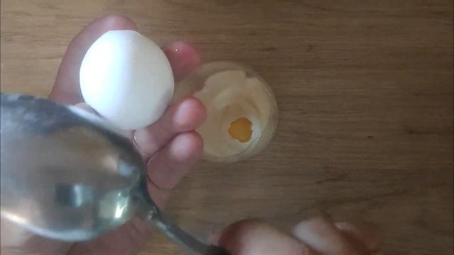 ВЫРАЩИВАНИЕ ОПАРЫША В ДОМАШНИХ УСЛОВИЯХ. РАЗВЕДЕНИЕ ОПАРЫША ДОМА.