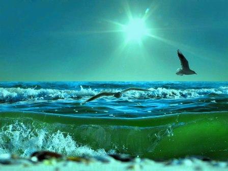 Необычный эксперимент. смотреть онлайн