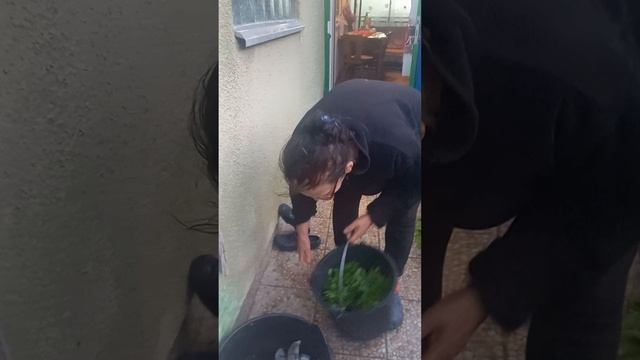 Trazim te na mrezama смотреть онлайн