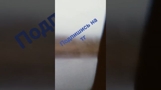 #квадрик #спорт #страшилки2021 #топ #кози #зайчик #смех #хочуврек #питбайк смотреть онлайн