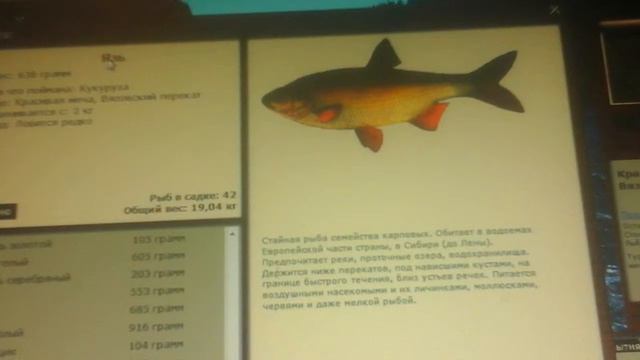 Играем в русскую рыбалку 3 смотреть онлайн