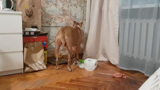 Рамзик и воздушные шарики смотреть онлайн