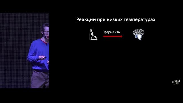 Растения в ледяной воде и полной темноте: как живут арктические водоросли — Степан Иванов смотреть онлайн