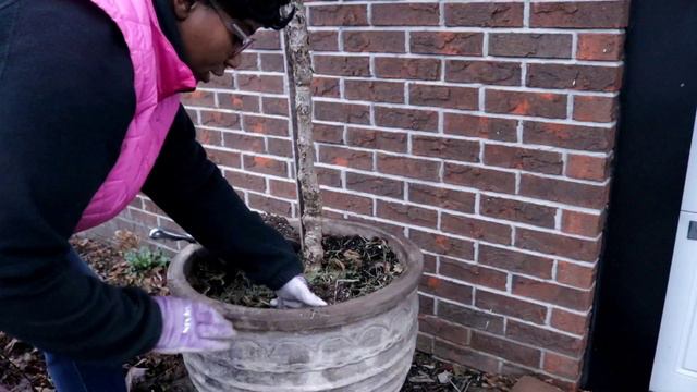 POTTING UP EARLY SPRING CONTAINERS 2023 / Garden Queen смотреть онлайн