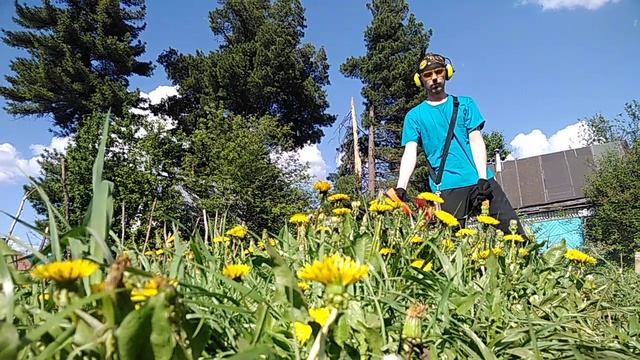 Триммер PIT PTR1500-EL против одуванчиков. смотреть онлайн