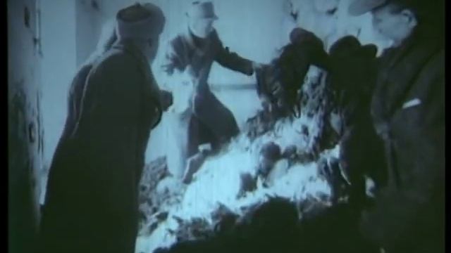 The Liberation of Auschwitz (includes 1945 original Red Army footage) смотреть онлайн