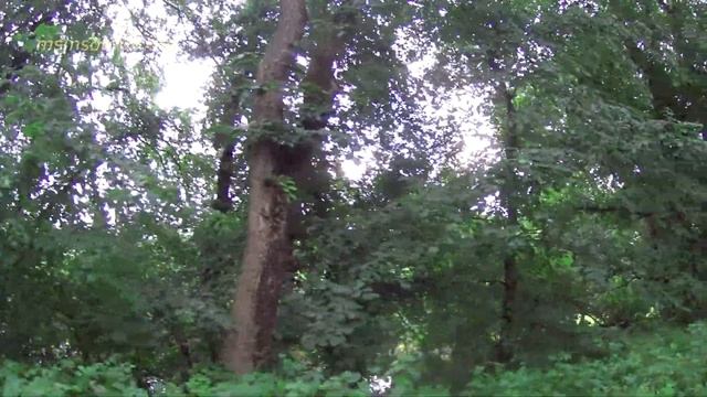 Значение молитвы "Отче наш..." Полное Толкование Писателя, Пастора Якова Левена. Введение. смотреть онлайн