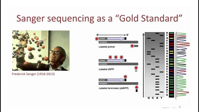 3 1 Основные понятия Секвенирование по Сэнгеру Basic concepts Sanger sequencing смотреть онлайн