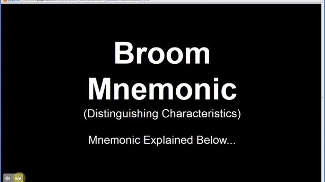 Lactuca serriola | Prickly Lettuce (Part 2 of 2) смотреть онлайн