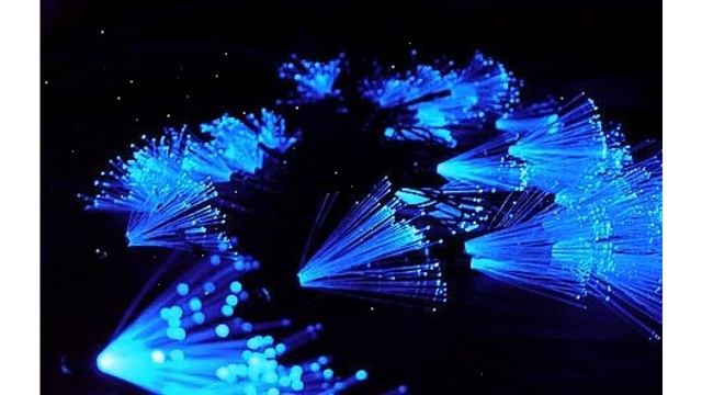 Гирлянда СИНИЕ КИСТОЧКИ с LED-лампами 48 светодиодов, (Россия) 6,5м обзор LD048C-B-FB смотреть онлайн