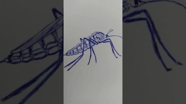 Простые уроки рисования для всех