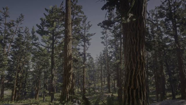 2 hours Peaceful Ambience Windy Forest Vibe (Red Dead Redemption 2) смотреть онлайн