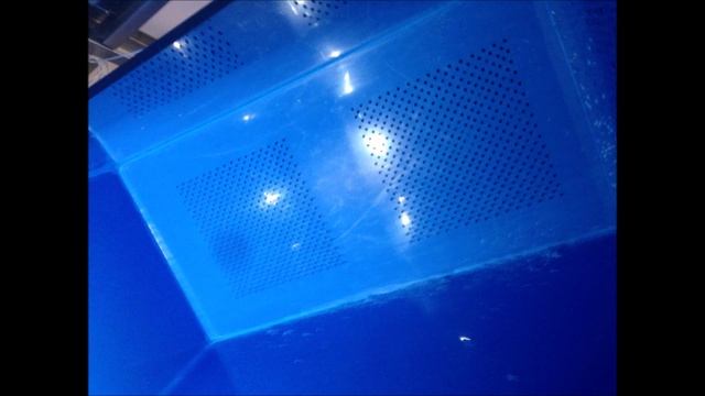 УЗВ Тилапия (15)