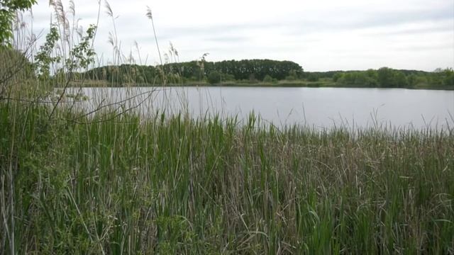 Когда откроется сезон охоты? смотреть онлайн