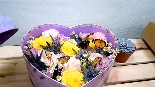 Живые бабочки в коробке с цветами смотреть онлайн