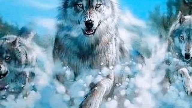 ДУШЕВНАЯ ПЕСНЯ.. СЕРЫЙ ВОЛК... Послушайте.