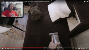 ОДИН ДЕНЬ ГЛАЗАМИ МАЙНИ ► Один День из Жизни ( 1 миллион подписчиков ) | РЕАКЦИЯ НА МАЙНИ