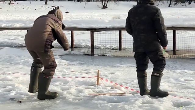 9.03.24 КРХ Белая Дача ,Форелевый участок ,актив работает лучше,о это только начало дня!Приезжайте! смотреть онлайн