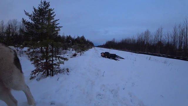 Алабай катает нас на ватрушке. смотреть онлайн